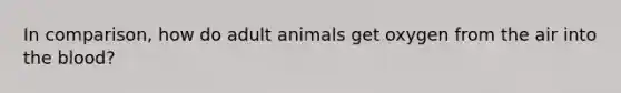 In comparison, how do adult animals get oxygen from the air into <a href='https://www.questionai.com/knowledge/k7oXMfj7lk-the-blood' class='anchor-knowledge'>the blood</a>?