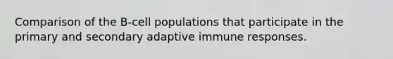 Comparison of the B-cell populations that participate in the primary and secondary adaptive immune responses.