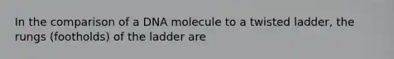 In the comparison of a DNA molecule to a twisted ladder, the rungs (footholds) of the ladder are