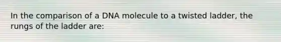 In the comparison of a DNA molecule to a twisted ladder, the rungs of the ladder are: