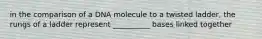 in the comparison of a DNA molecule to a twisted ladder, the rungs of a ladder represent __________ bases linked together