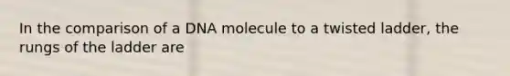 In the comparison of a DNA molecule to a twisted ladder, the rungs of the ladder are