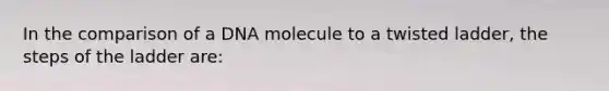 In the comparison of a DNA molecule to a twisted ladder, the steps of the ladder are: