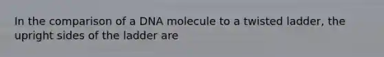 In the comparison of a DNA molecule to a twisted ladder, the upright sides of the ladder are