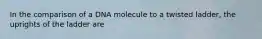 In the comparison of a DNA molecule to a twisted ladder, the uprights of the ladder are