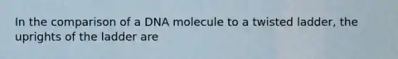 In the comparison of a DNA molecule to a twisted ladder, the uprights of the ladder are