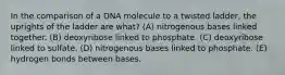 In the comparison of a DNA molecule to a twisted ladder, the uprights of the ladder are what? (A) nitrogenous bases linked together. (B) deoxyribose linked to phosphate. (C) deoxyribose linked to sulfate. (D) nitrogenous bases linked to phosphate. (E) hydrogen bonds between bases.