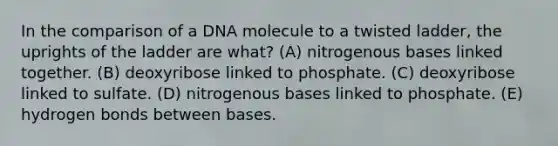 In the comparison of a DNA molecule to a twisted ladder, the uprights of the ladder are what? (A) nitrogenous bases linked together. (B) deoxyribose linked to phosphate. (C) deoxyribose linked to sulfate. (D) nitrogenous bases linked to phosphate. (E) hydrogen bonds between bases.