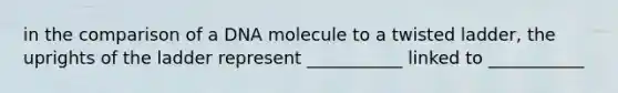 in the comparison of a DNA molecule to a twisted ladder, the uprights of the ladder represent ___________ linked to ___________