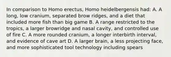 In comparison to <a href='https://www.questionai.com/knowledge/kI1ONx7LAC-homo-erectus' class='anchor-knowledge'>homo erectus</a>, Homo heidelbergensis had: A. A long, low cranium, separated brow ridges, and a diet that included more fish than big game B. A range restricted to the tropics, a larger browridge and nasal cavity, and controlled use of fire C. A more rounded cranium, a longer interbirth interval, and evidence of cave art D. A larger brain, a less projecting face, and more sophisticated tool technology including spears