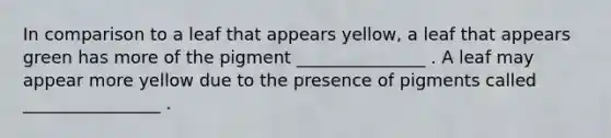 In comparison to a leaf that appears yellow, a leaf that appears green has more of the pigment _______________ . A leaf may appear more yellow due to the presence of pigments called ________________ .