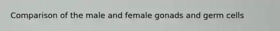 Comparison of the male and female gonads and germ cells