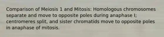 Comparison of Meiosis 1 and Mitosis: Homologous chromosomes separate and move to opposite poles during anaphase I; centromeres split, and sister chromatids move to opposite poles in anaphase of mitosis.