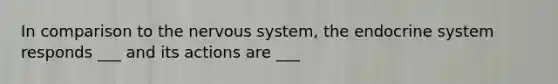 In comparison to the nervous system, the endocrine system responds ___ and its actions are ___