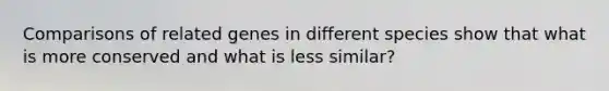 Comparisons of related genes in different species show that what is more conserved and what is less similar?