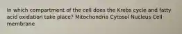 In which compartment of the cell does the Krebs cycle and fatty acid oxidation take place? Mitochondria Cytosol Nucleus Cell membrane