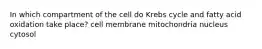 In which compartment of the cell do Krebs cycle and fatty acid oxidation take place? cell membrane mitochondria nucleus cytosol