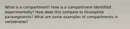 What is a compartment? How is a compartment identified experimentally? How does this compare to Drosophila parasegments? What are some examples of compartments in vertebrates?