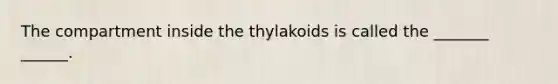 The compartment inside the thylakoids is called the _______ ______.