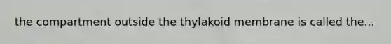 the compartment outside the thylakoid membrane is called the...