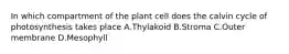 In which compartment of the plant cell does the calvin cycle of photosynthesis takes place A.Thylakoid B.Stroma C.Outer membrane D.Mesophyll