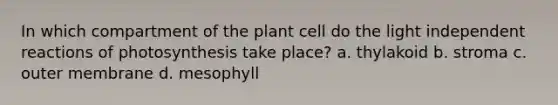 In which compartment of the plant cell do the light independent reactions of photosynthesis take place? a. thylakoid b. stroma c. outer membrane d. mesophyll