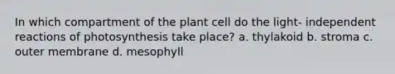 In which compartment of the plant cell do the light- independent reactions of photosynthesis take place? a. thylakoid b. stroma c. outer membrane d. mesophyll