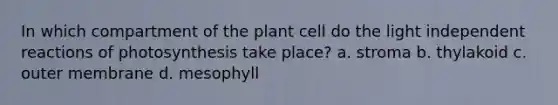 In which compartment of the plant cell do the light independent reactions of photosynthesis take place? a. stroma b. thylakoid c. outer membrane d. mesophyll