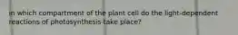 in which compartment of the plant cell do the light-dependent reactions of photosynthesis take place?