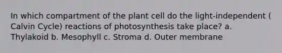 In which compartment of the plant cell do the light-independent ( Calvin Cycle) reactions of photosynthesis take place? a. Thylakoid b. Mesophyll c. Stroma d. Outer membrane