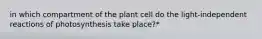 in which compartment of the plant cell do the light-independent reactions of photosynthesis take place?*