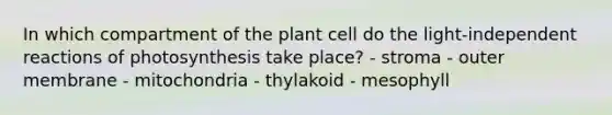 In which compartment of the plant cell do the light-independent reactions of photosynthesis take place? - stroma - outer membrane - mitochondria - thylakoid - mesophyll