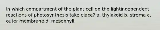 In which compartment of the plant cell do the lightindependent reactions of photosynthesis take place? a. thylakoid b. stroma c. outer membrane d. mesophyll