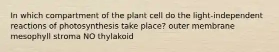 In which compartment of the plant cell do the light-independent reactions of photosynthesis take place? outer membrane mesophyll stroma NO thylakoid