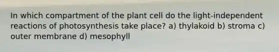 In which compartment of the plant cell do the light-independent reactions of photosynthesis take place? a) thylakoid b) stroma c) outer membrane d) mesophyll