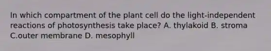 In which compartment of the plant cell do the light-independent reactions of photosynthesis take place? A. thylakoid B. stroma C.outer membrane D. mesophyll