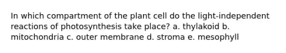 In which compartment of the plant cell do the light-independent reactions of photosynthesis take place? a. thylakoid b. mitochondria c. outer membrane d. stroma e. mesophyll