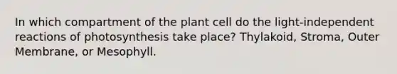 In which compartment of the plant cell do the light-independent reactions of photosynthesis take place? Thylakoid, Stroma, Outer Membrane, or Mesophyll.