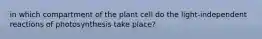 in which compartment of the plant cell do the light-independent reactions of photosynthesis take place?