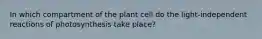 In which compartment of the plant cell do the light-independent reactions of photosynthesis take place?