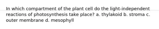 In which compartment of the plant cell do the light-independent reactions of photosynthesis take place? a. thylakoid b. stroma c. outer membrane d. mesophyll