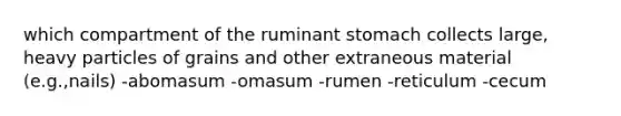 which compartment of the ruminant stomach collects large, heavy particles of grains and other extraneous material (e.g.,nails) -abomasum -omasum -rumen -reticulum -cecum