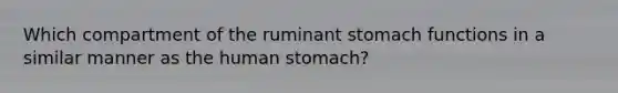 Which compartment of the ruminant stomach functions in a similar manner as the human stomach?