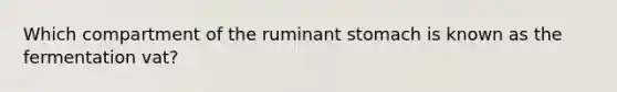 Which compartment of the ruminant stomach is known as the fermentation vat?