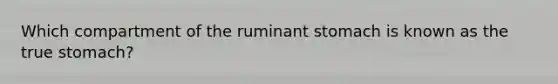 Which compartment of the ruminant stomach is known as the true stomach?
