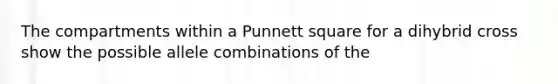 The compartments within a Punnett square for a dihybrid cross show the possible allele combinations of the