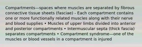 Compartments—spaces where muscles are separated by fibrous connective tissue sheets (fasciae) - Each compartment contains one or more functionally related muscles along with their nerve and blood supplies • Muscles of upper limbs divided into anterior and posterior compartments • Intermuscular septa (thick fascia) separates compartments • Compartment syndrome—one of the muscles or blood vessels in a compartment is injured