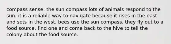 compass sense: the sun compass lots of animals respond to the sun. it is a reliable way to navigate because it rises in the east and sets in the west. bees use the sun compass. they fly out to a food source, find one and come back to the hive to tell the colony about the food source.