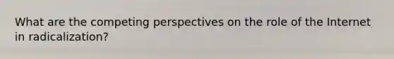 What are the competing perspectives on the role of the Internet in radicalization?