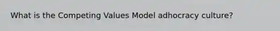 What is the Competing Values Model adhocracy culture?